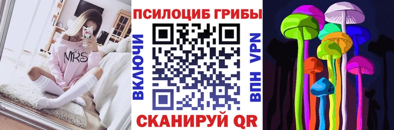 Псилоцибиновые грибы GOLDEN TEACHER Купить закладки Кукмор